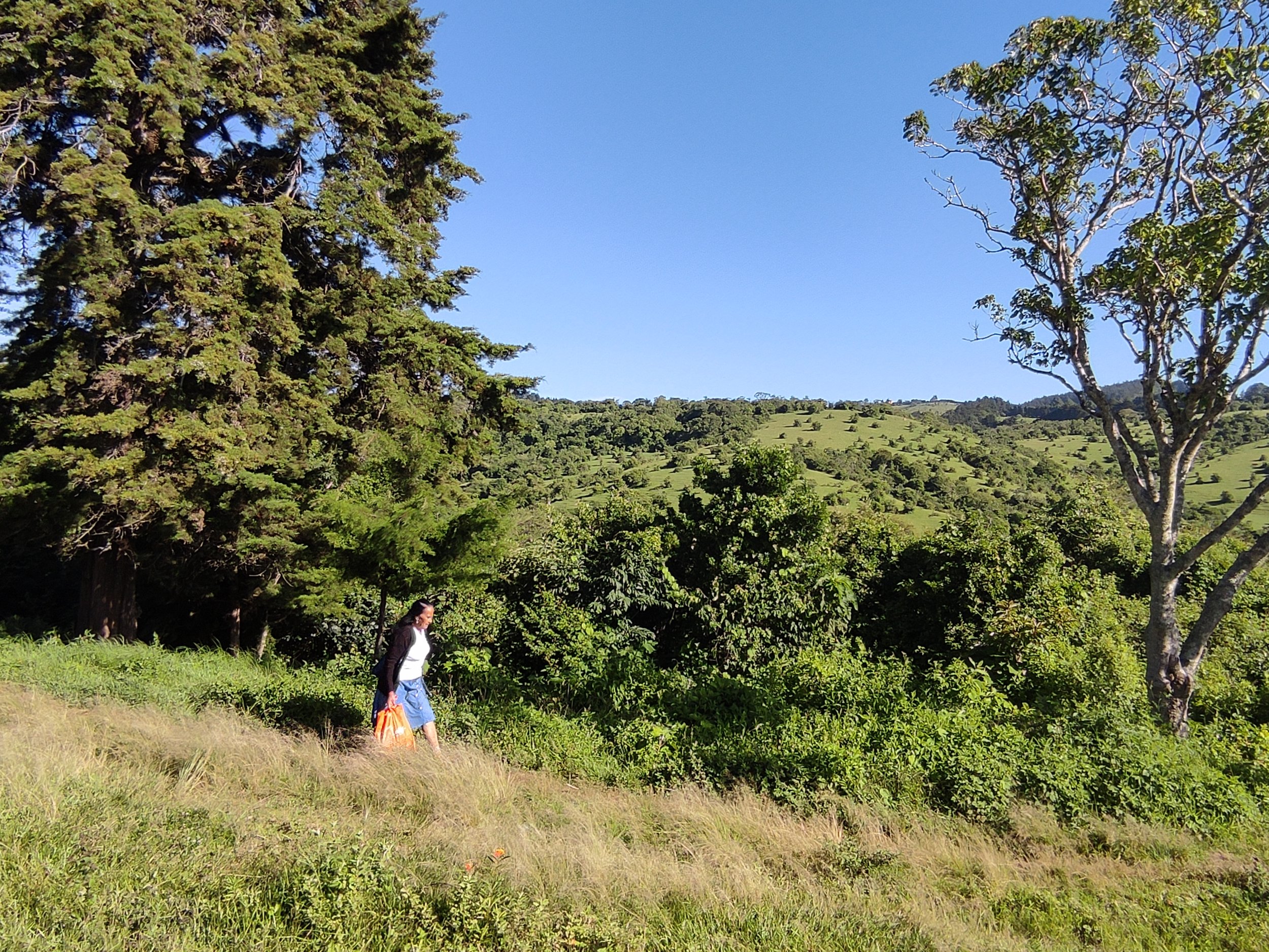  Crédito Andina Ayala 